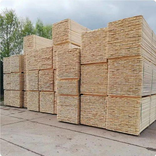 俄罗斯木材库存减少 北美地区木材交易清淡 赤道几内亚宣布禁止采伐 国际资讯 No.165