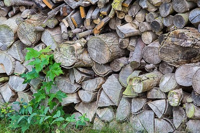 木, 柴, 蓄积量, 热, 存储, 木材的壁炉, 堆栈